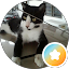 ben catz