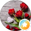 Fazlina Rose
